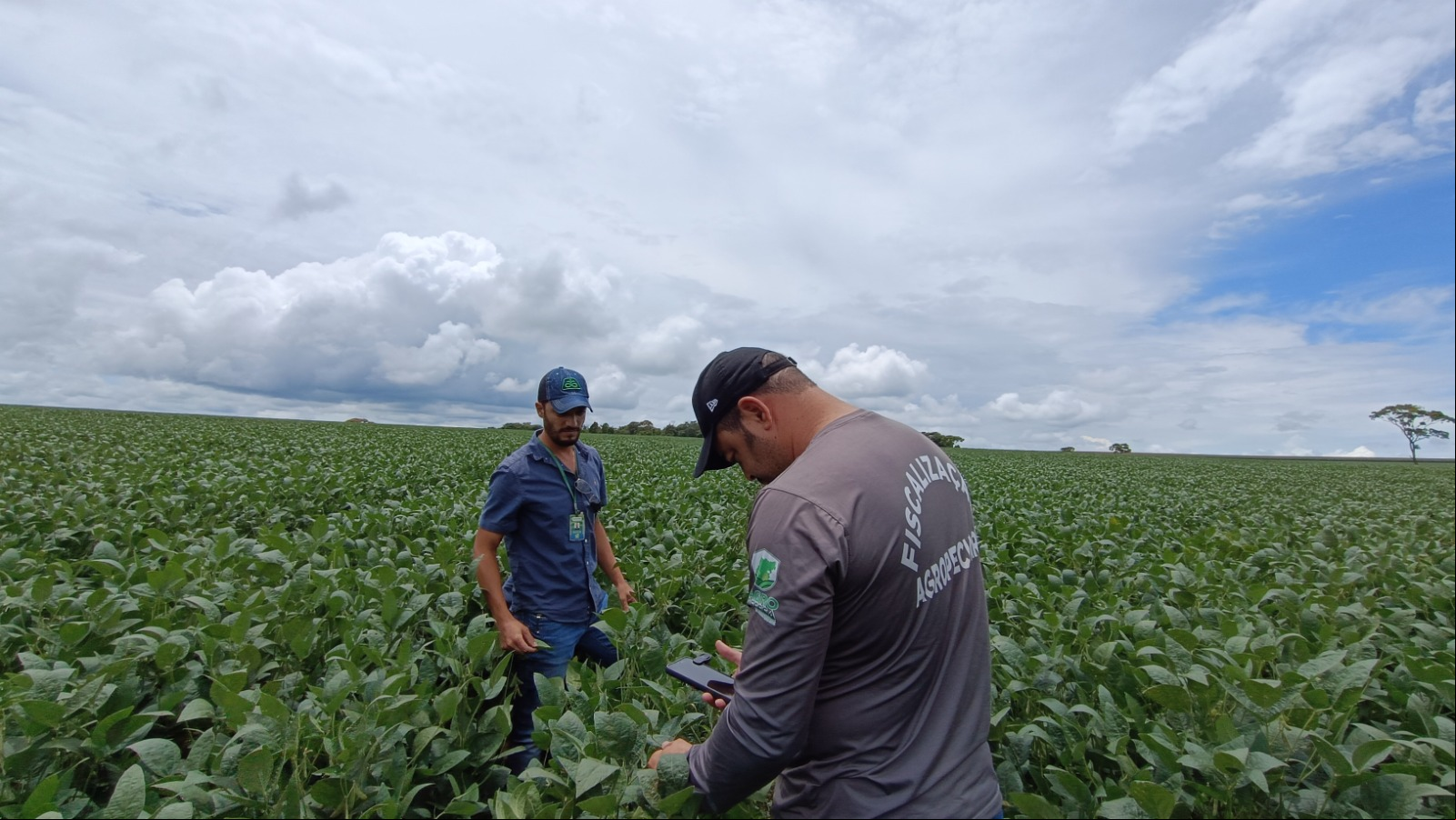 Expedição Agrodefesa